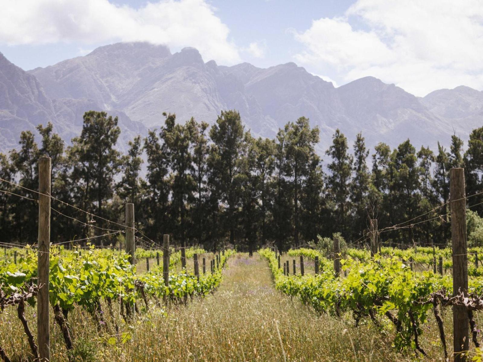 Duikersdrift Winelands Country Escape Hotel Tulbagh Exterior foto