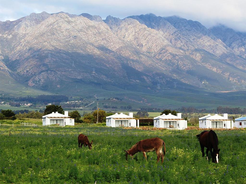 Duikersdrift Winelands Country Escape Hotel Tulbagh Exterior foto